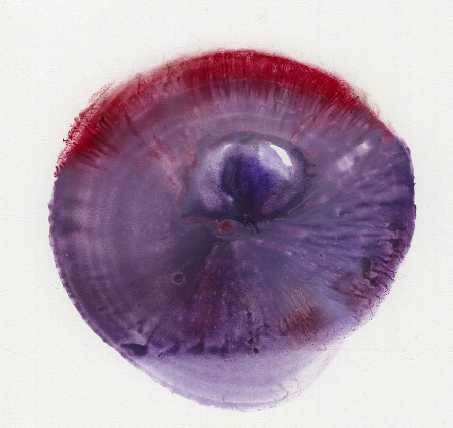 Mellek lenyomatával készít csodás festményeket