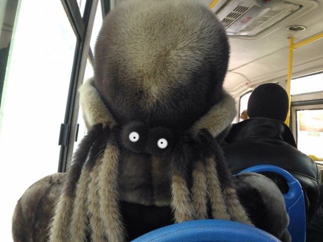 Fotók, amik többek, mint azt elsőre gondoltuk Fotók, amik többek, mint azt elsőre gondoltuk