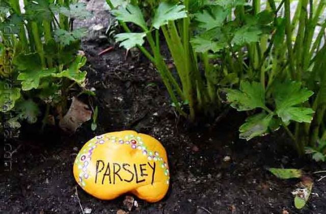 Csináld magad: dekoráld színesre festett kövekkel, kavicsokkal a fűszerkertet