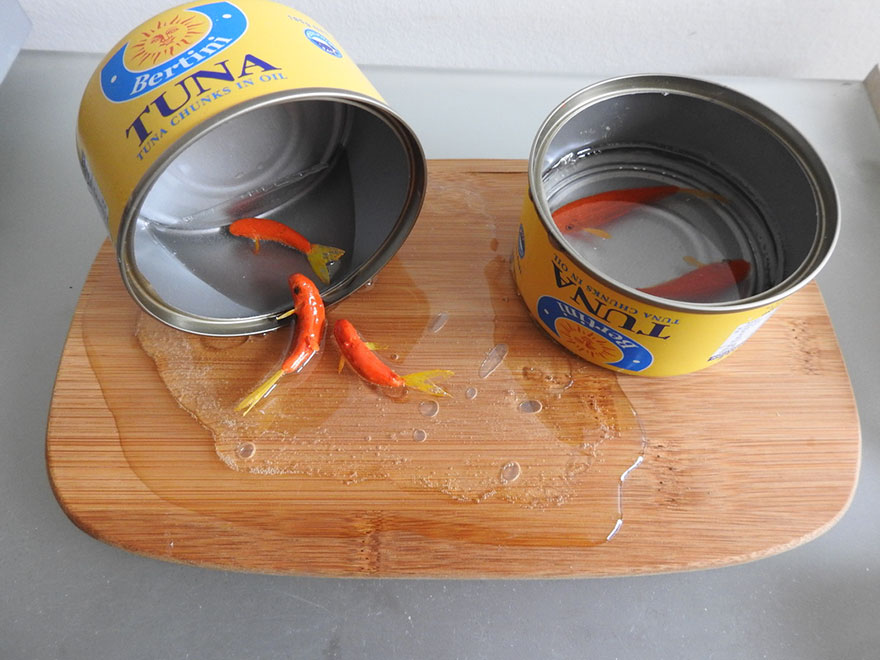 Hiperrealisztikus tengeri lények gyantából - csodás fotók