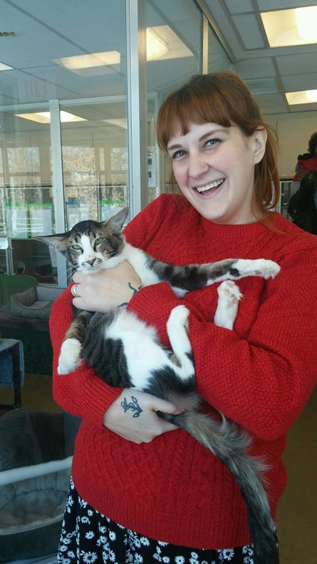 Kylo, az óriásfülű macska feldobja a napod Kylo, az óriásfülű macska feldobja a napod