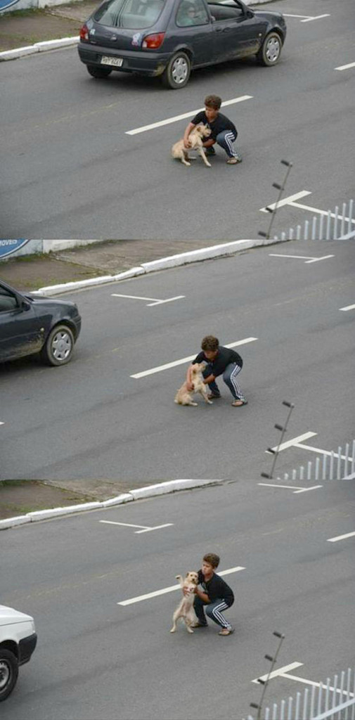 10 megható fotó, amitől visszatér a hited az emberiségben