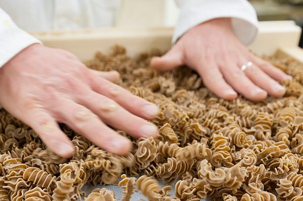 Rovarokból készült tészta lesz a jövő proteinforrása? Rovarokból készült tészta lesz a jövő proteinforrása?