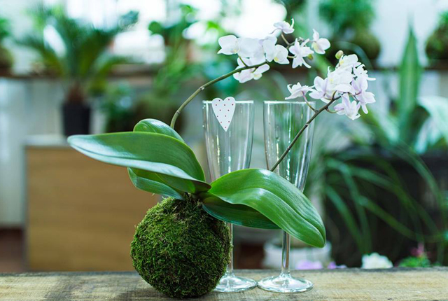 10 nőies ajándék magyar tervezőktől, nem csak nőnapra