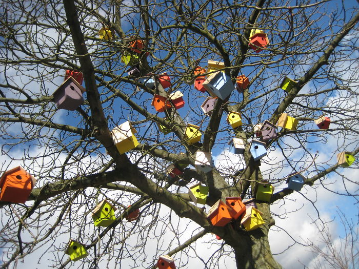 Hiheetlen madáretetőket épít a művész Hiheetlen madáretetőket épít a művész