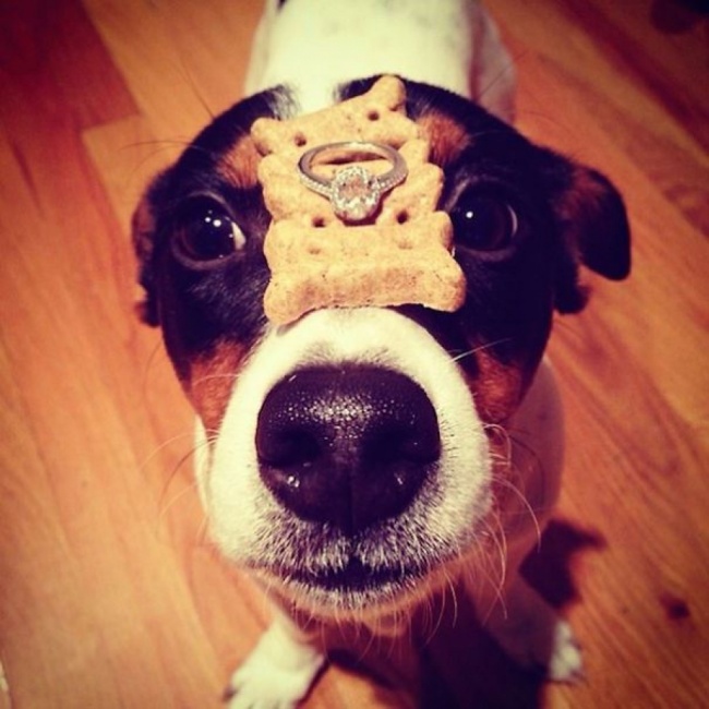 Olyan csodás eljegyzési fotókat mutatunk, amiktől te is elérzékenyülsz