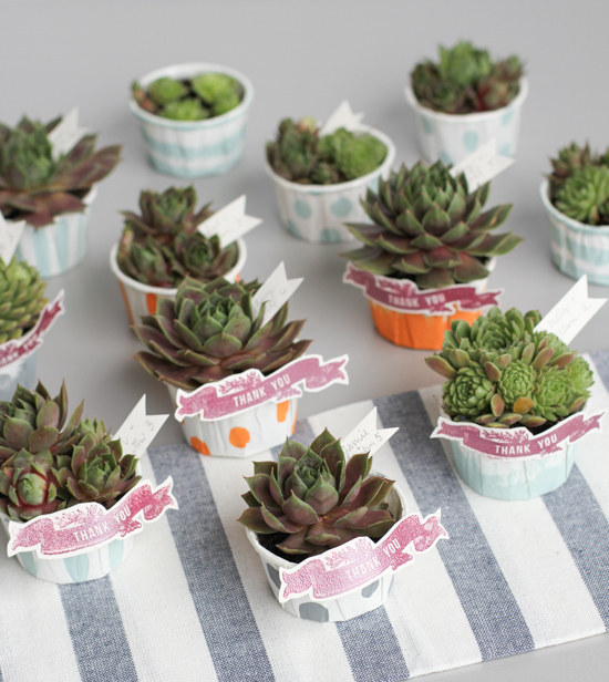 Sosem gondoltad volna, hogy ezek a növények esküvői dekorációként is megállják a helyüket - képek