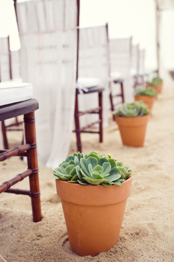 Sosem gondoltad volna, hogy ezek a növények esküvői dekorációként is megállják a helyüket - képek