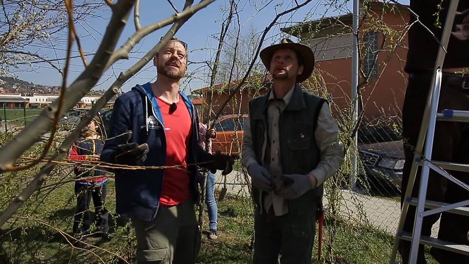 5 dolog, amit mindenképp csinálj meg tavasszal a kertedben! – McMenemy Márk interjú 5 dolog, amit mindenképp csinálj meg tavasszal a kertedben! – McMenemy Márk interjú