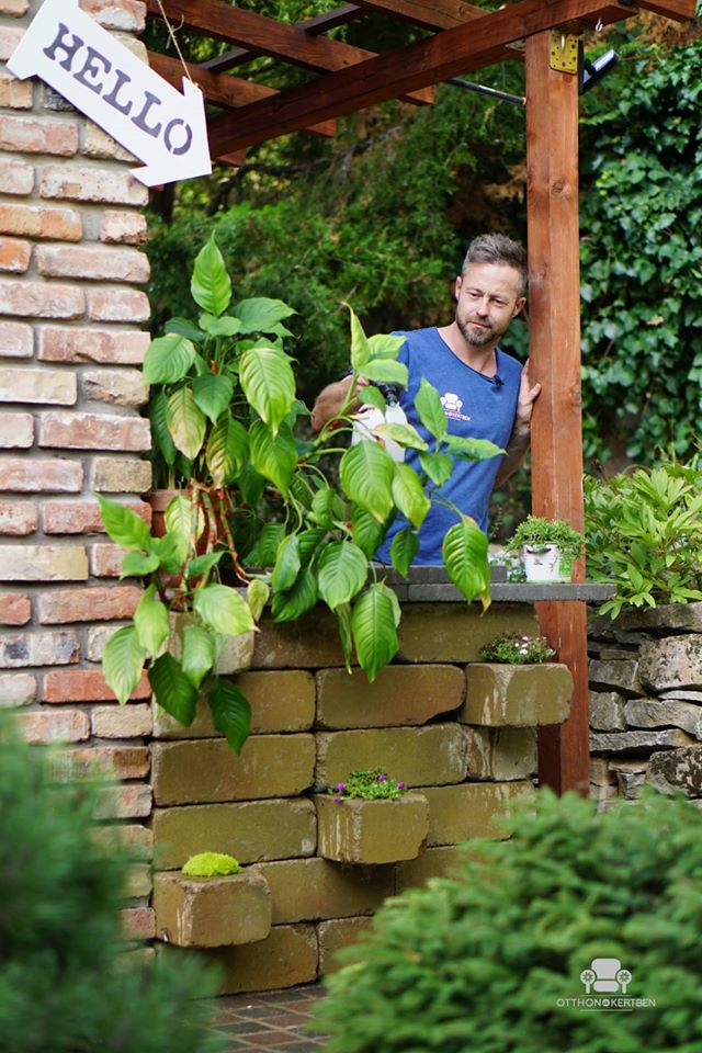 5 dolog, amit mindenképp csinálj meg tavasszal a kertedben! – McMenemy Márk interjú 5 dolog, amit mindenképp csinálj meg tavasszal a kertedben! – McMenemy Márk interjú