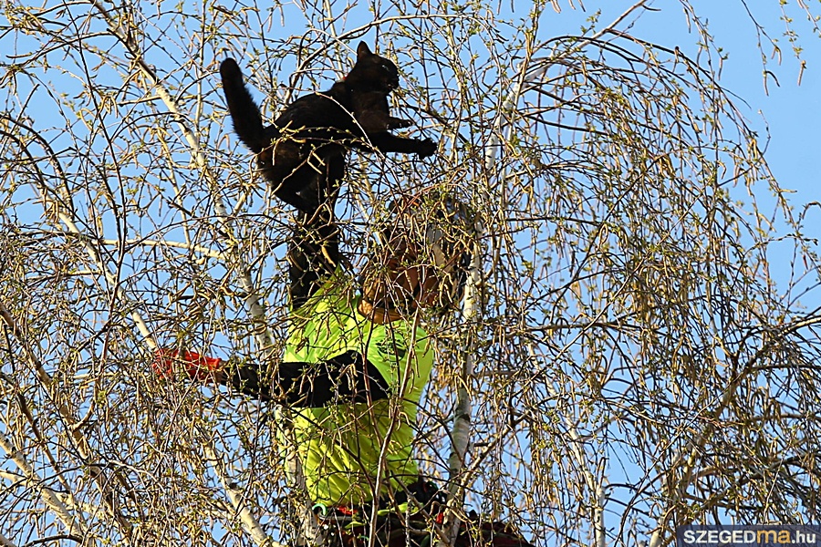 Fotó: szegedma.hu