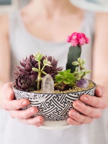 5 gyönyörű minikert lakásba, erkélyre, teraszra 5 gyönyörű minikert lakásba, erkélyre, teraszra