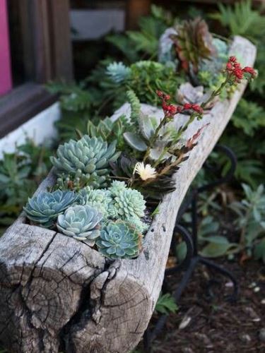 5 gyönyörű minikert lakásba, erkélyre, teraszra 5 gyönyörű minikert lakásba, erkélyre, teraszra