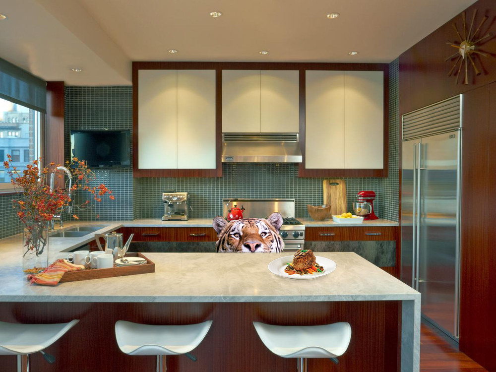 Photoshop-áldozat lett a vízből kibukkanó tigris Photoshop-áldozat lett a vízből kibukkanó tigris