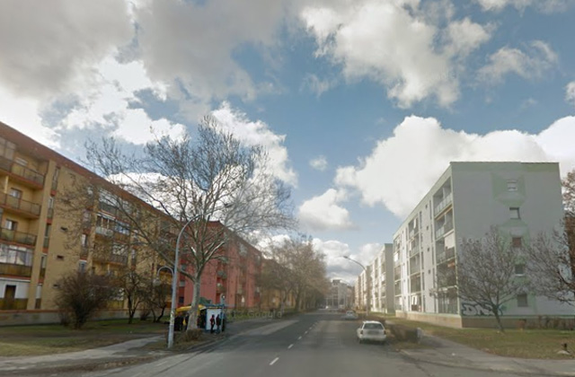 Kidobta a kutyáját az ablakon egy pécsi nő 