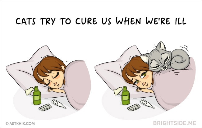 9 vicces illusztráció arról, hogy milyen az élet macska nélkül és macskával