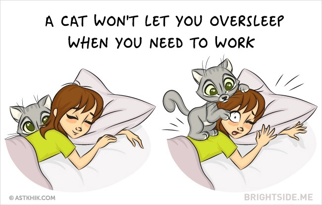 9 vicces illusztráció arról, hogy milyen az élet macska nélkül és macskával