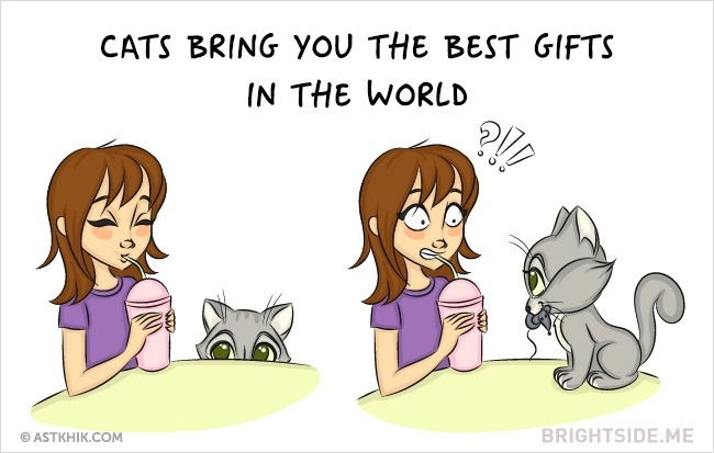 9 vicces illusztráció arról, hogy milyen az élet macska nélkül és macskával