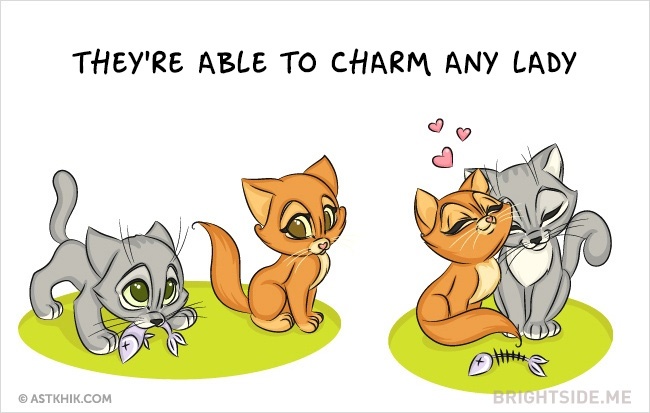 9 vicces illusztráció arról, hogy milyen az élet macska nélkül és macskával