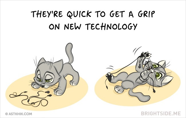 9 vicces illusztráció arról, hogy milyen az élet macska nélkül és macskával