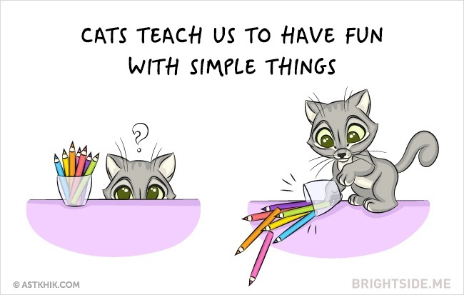 9 vicces illusztráció arról, hogy milyen az élet macska nélkül és macskával