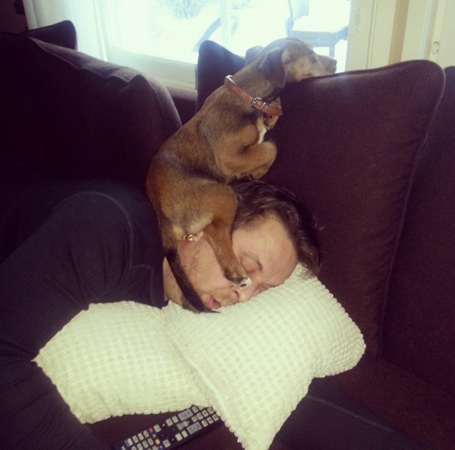 10 állat, aki magasról tesz a szabályokra