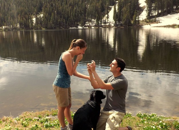 10 állat, aki magasról tesz a szabályokra