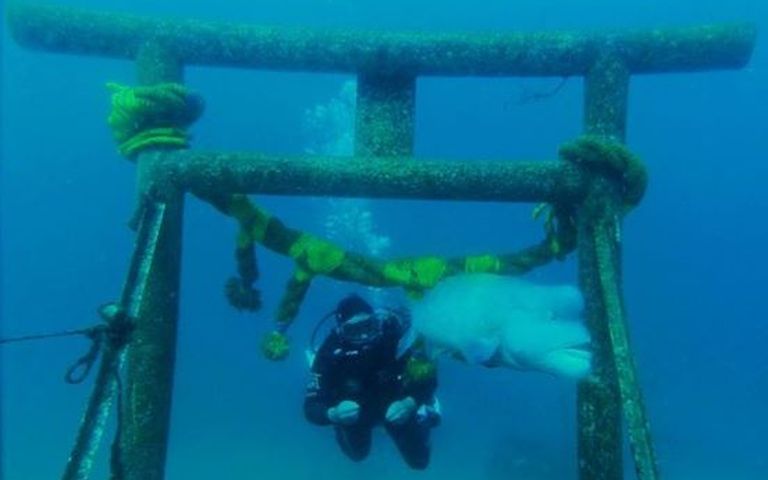 Találkozó a szentélynél