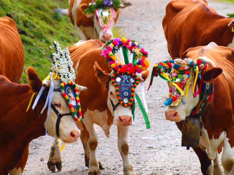 20 gyönyörű fotó Stájerországról, amit ha meglátsz te is azonnal elkezdesz csomagolni