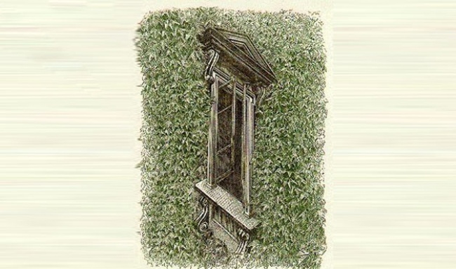 Érzéki csalódások, amik tuti, hogy téged is átvernek Érzéki csalódások, amik tuti, hogy téged is átvernek