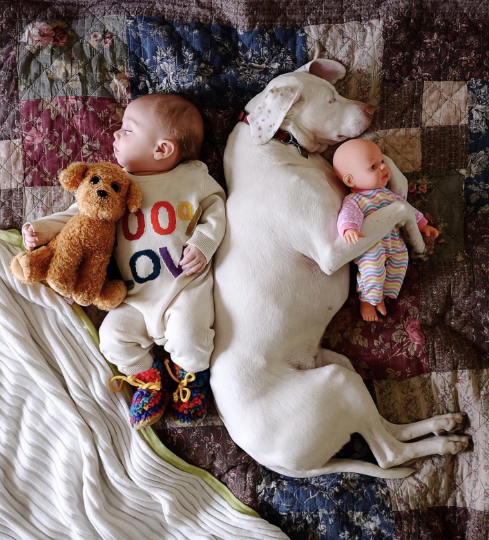 Egy kisbaba és a mentett kölyökkutya az Instagram legújabb sztárja