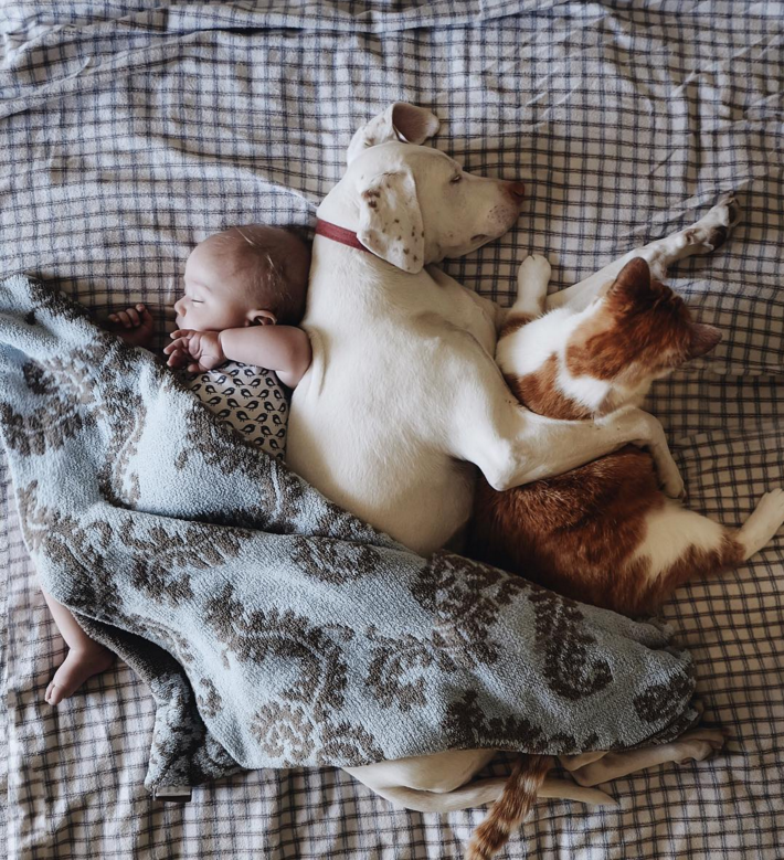Egy kisbaba és a mentett kölyökkutya az Instagram legújabb sztárja