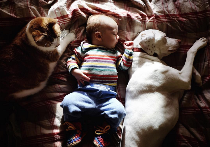 Egy kisbaba és a mentett kölyökkutya az Instagram legújabb sztárja