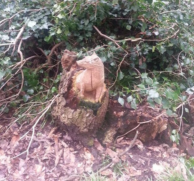 Gerilla faragványokat készít az erdőben a rejtélyes 70 éves nagyi - képek