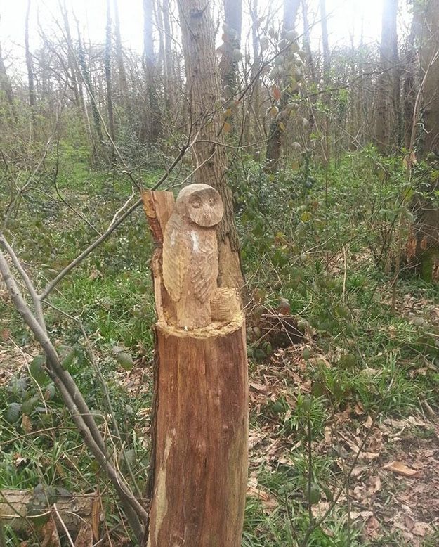 Gerilla faragványokat készít az erdőben a rejtélyes 70 éves nagyi - képek