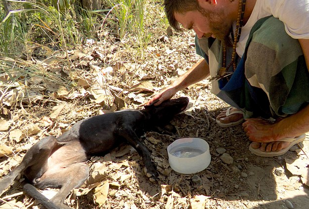 Képek forrása: Charlie's Angels - Animal Rescue - Costa Rica