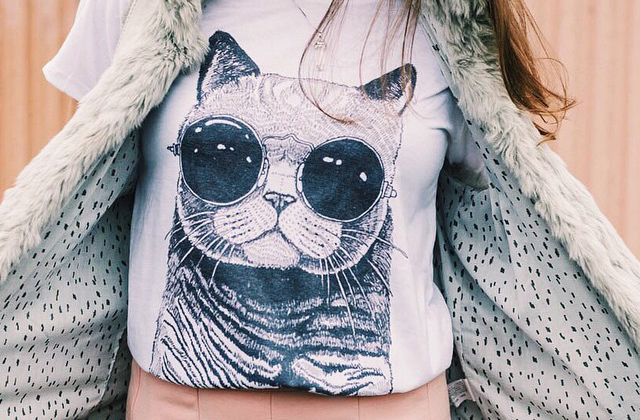 5 szuper, tavaszi újdonság a WAMP-on