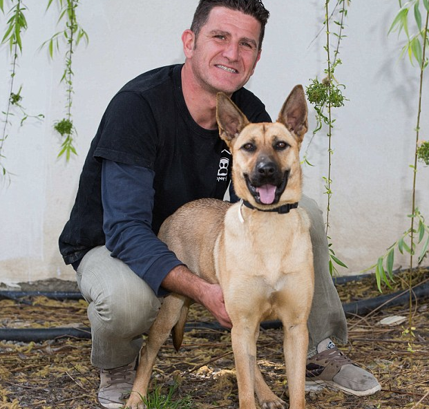 Menni sem tudott az éheztetett kutya, mikor rátalálták – most nézzétek meg