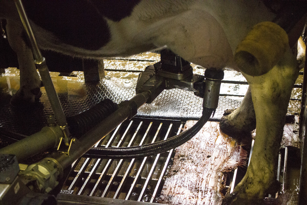 15 dolog, ami csak Izlandon eshet meg veled