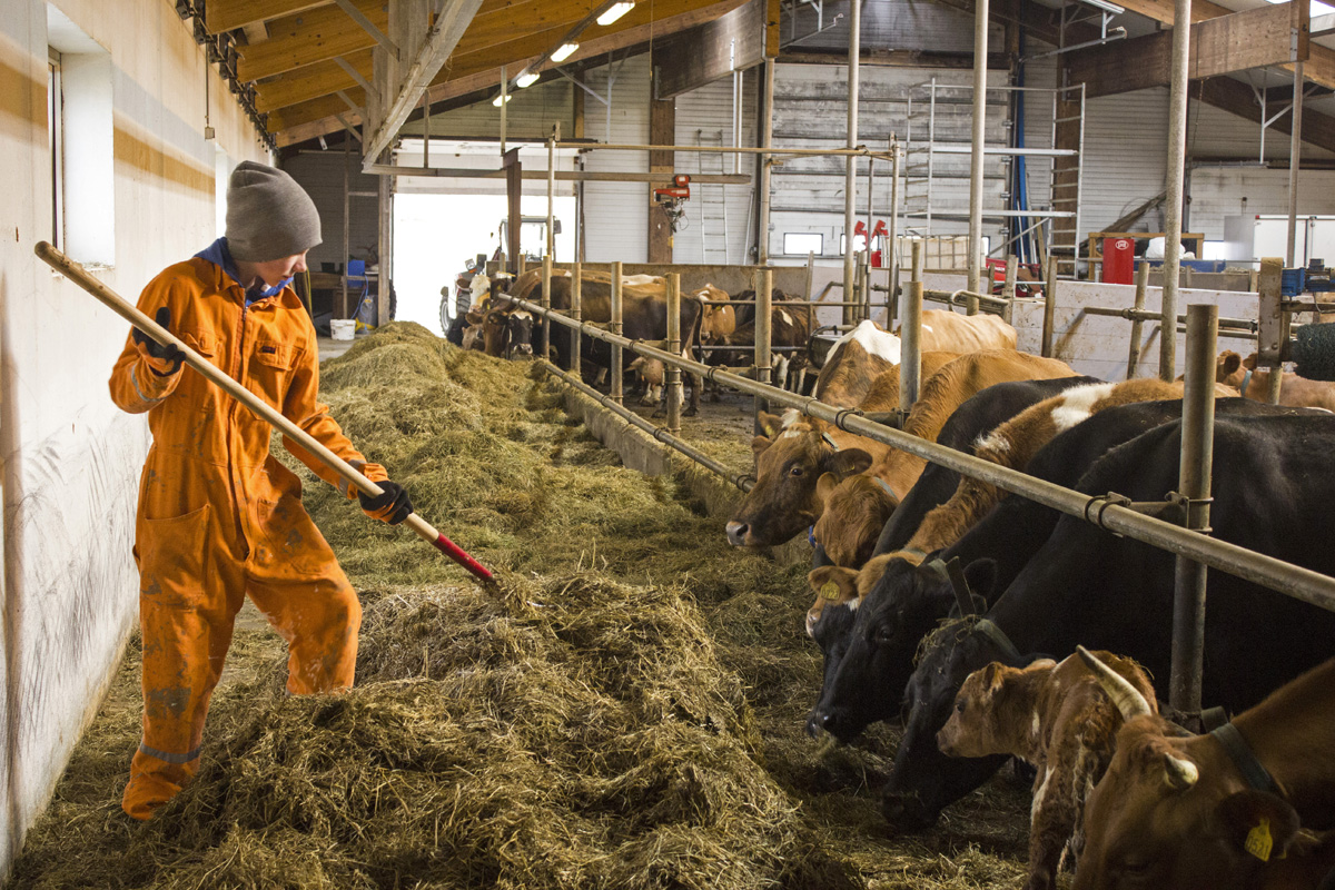 15 dolog, ami csak Izlandon eshet meg veled