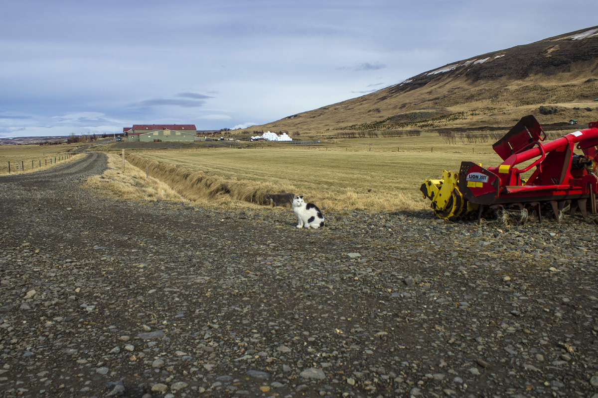 15 dolog, ami csak Izlandon eshet meg veled