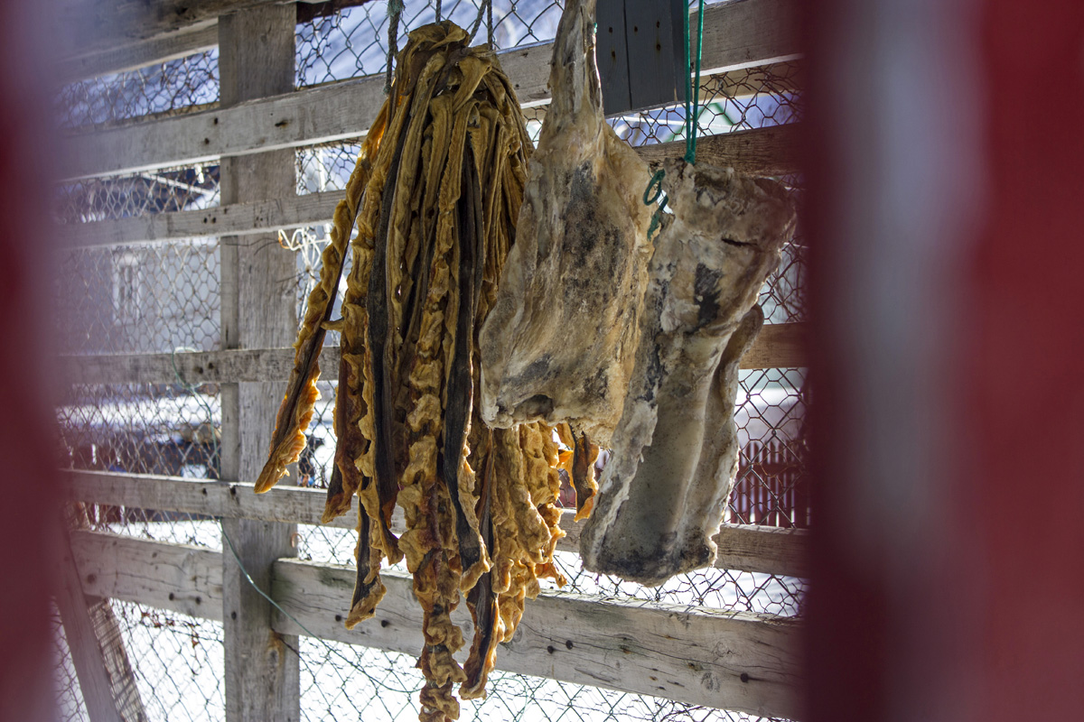 15 dolog, ami csak Izlandon eshet meg veled