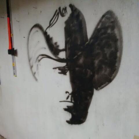 Az internet népét jól megdolgoztatta ez a kép - te kitalálod, mi van rajta?