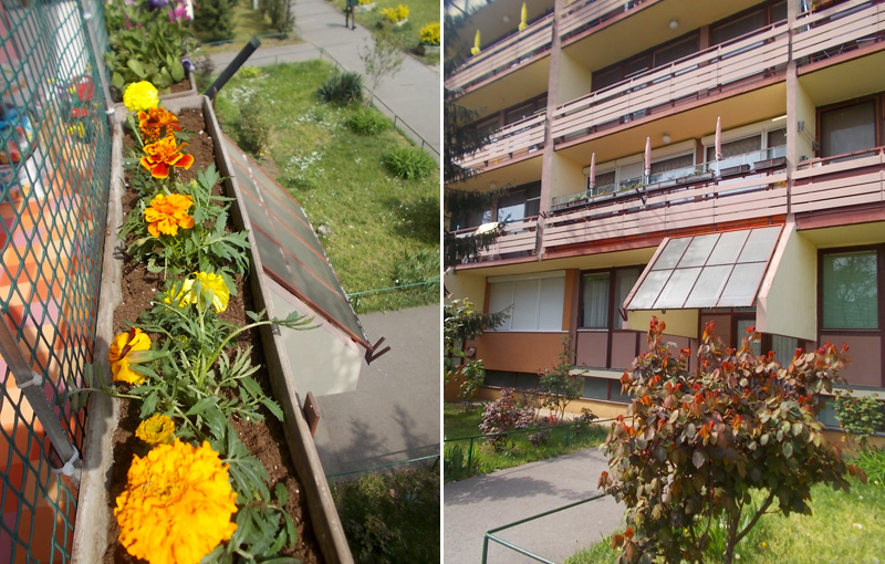 12 év alatt csak egyszer aludt 5 órát a háromgyermekes Katica