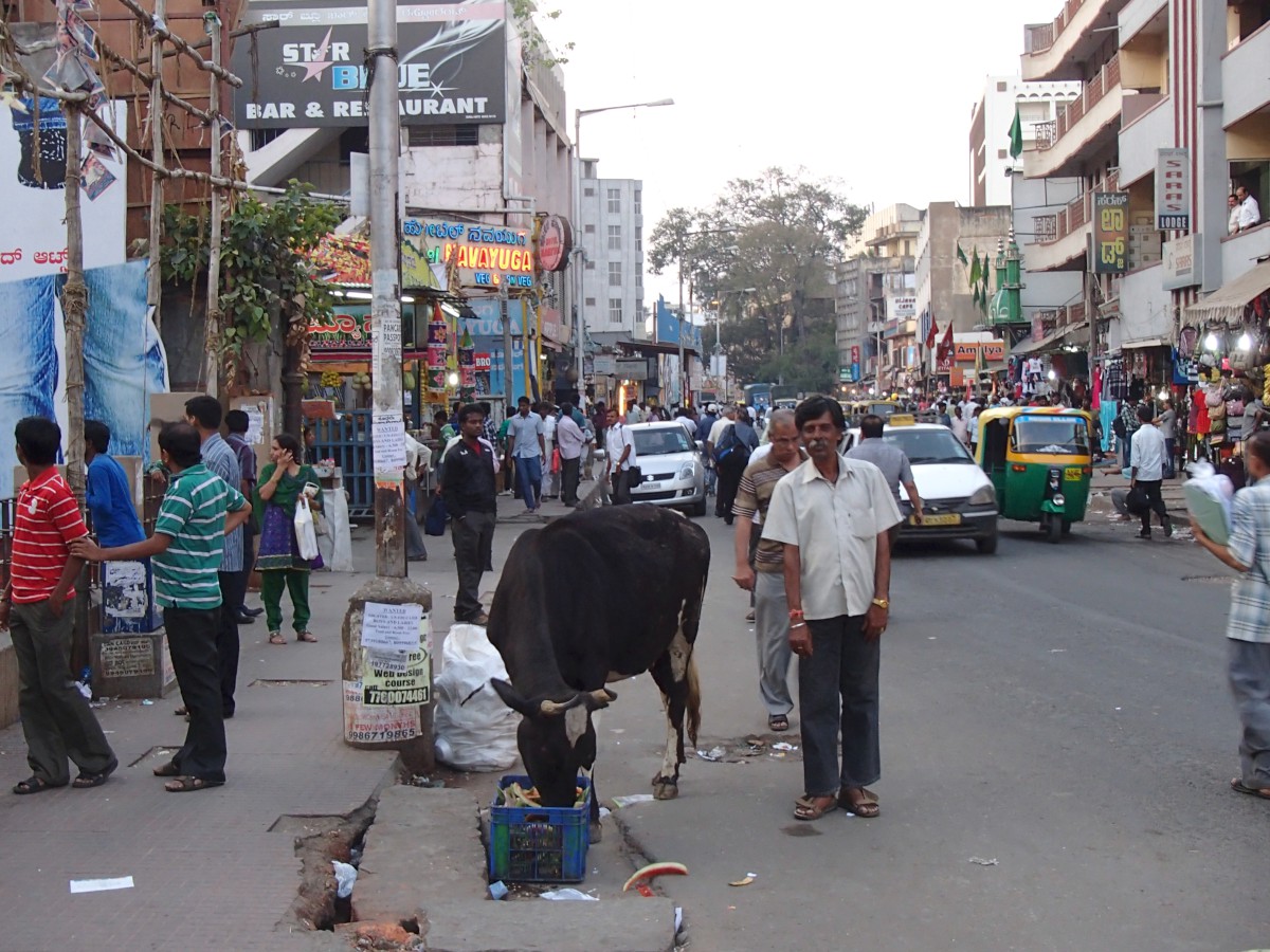 Bangalore, India (2013)