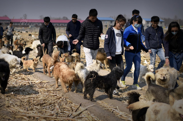 Minden vagyonát halálra ítélt állatokra költötte