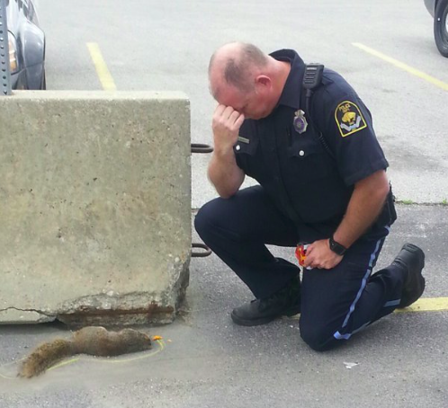 Így gyászolták a rendőrök szeretett kabalamókusukat Így gyászolták a rendőrök szeretett kabalamókusukat