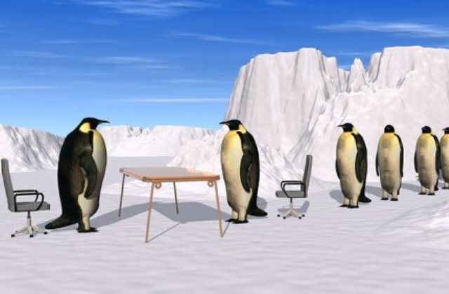 Cipők, amivel elbukhatsz egy jó állást – lábbeli bakik munkainterjún Cipők, amivel elbukhatsz egy jó állást – lábbeli bakik munkainterjún