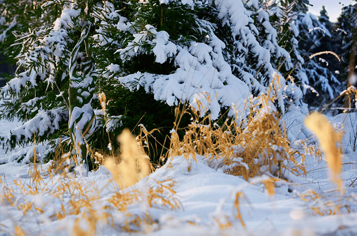 Megtalálod az emberi műalkotást a tájképeken? Megtalálod az emberi műalkotást a tájképeken?
