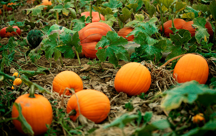 Megtalálod az emberi műalkotást a tájképeken? Megtalálod az emberi műalkotást a tájképeken?